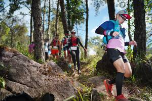 BIB: 
                            <button type="button" onclick="openModal(18955279)" class="btn btn-primary btn-sm float-right btn-popup" data-toggle="modal" data-target=".modal-high-quality">
                        <i class="fas fa-shopping-cart"></i> Add to Cart
                    </button>
                                            <button type="button" onclick="isThisMe(18955279, true)" class="btn btn-success btn-sm float-right btn-popup btn-isme hidden" data-toggle="tooltip" data-placement="bottom" title="นี่คือรูปของคุณใช่ไหม คลิกที่นี่เพื่อเอาเข้าอัลบั้ม">
                        <i class="fas fa-plus"></i> Add to album
                    </button>
                    <button type="button" onclick="isThisMe(18955279, false)" class="btn btn-warning btn-sm float-right btn-popup btn-isnotme hidden">
                        <i class="fas fa-ban"></i> Remove from album
                    </button>